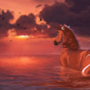 Meet your Posher, Audrey